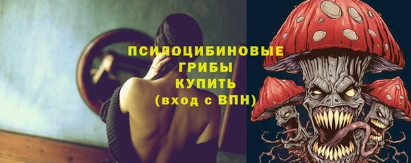 экстази Михайлов