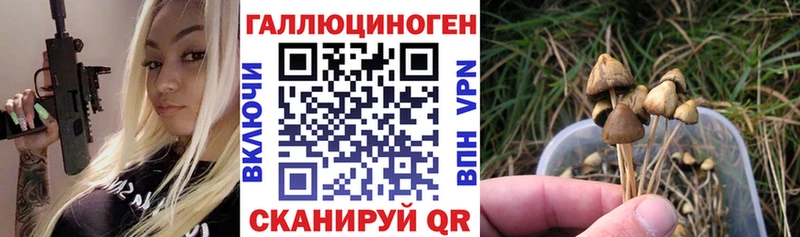 Галлюциногенные грибы Psilocybine cubensis  где можно купить   Краснокаменск 