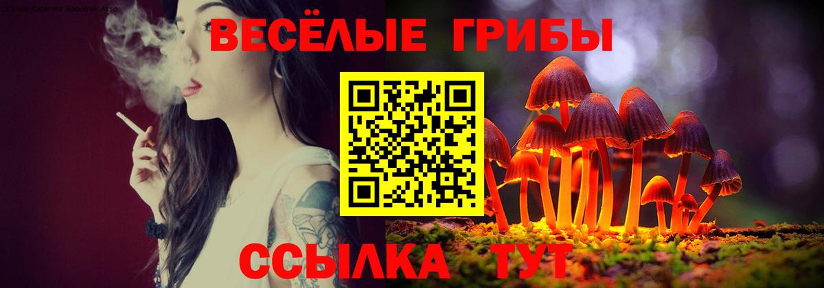 Краснокаменск  даркнет сайт  Вход с VPN  Псилоцибиновые грибы ЛСД 